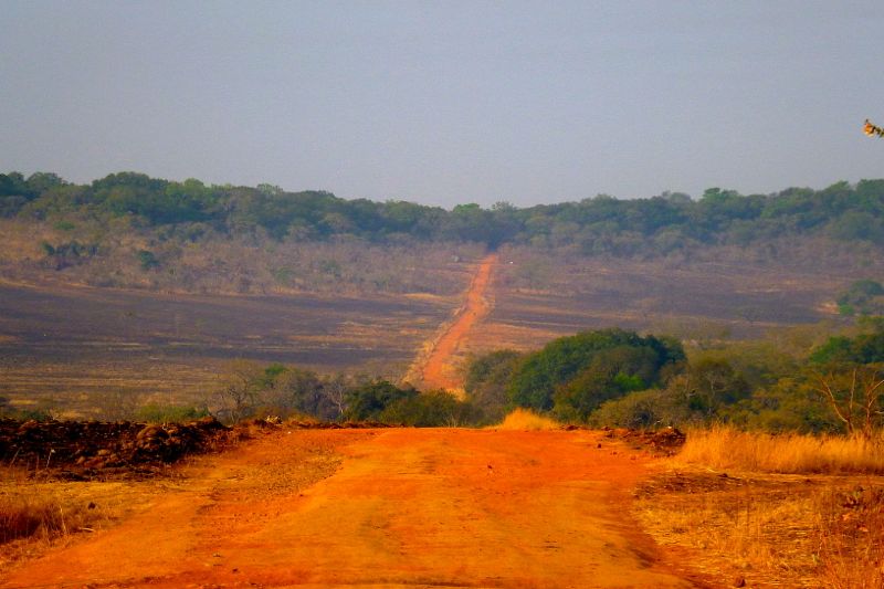 Guinea
